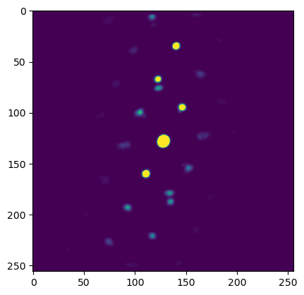 ../../_images/tutorials_pyxem-demos_11_Accelerated_orientation_mapping_with_template_matching_25_1.png